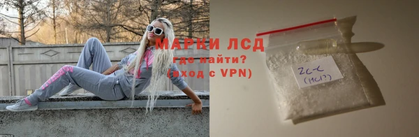 прущие грибы Аркадак