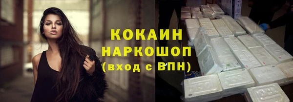 прущие грибы Аркадак