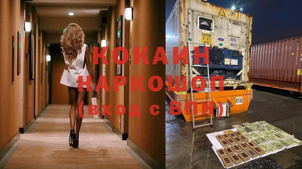 прущие грибы Аркадак