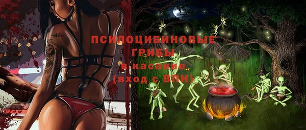 прущие грибы Аркадак