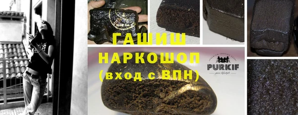 прущие грибы Аркадак